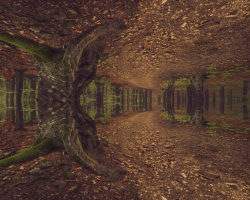 Lucian Dream Sequence:&nbsp;I